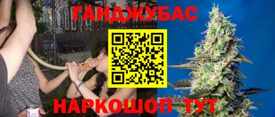 прущие грибы Кунгур