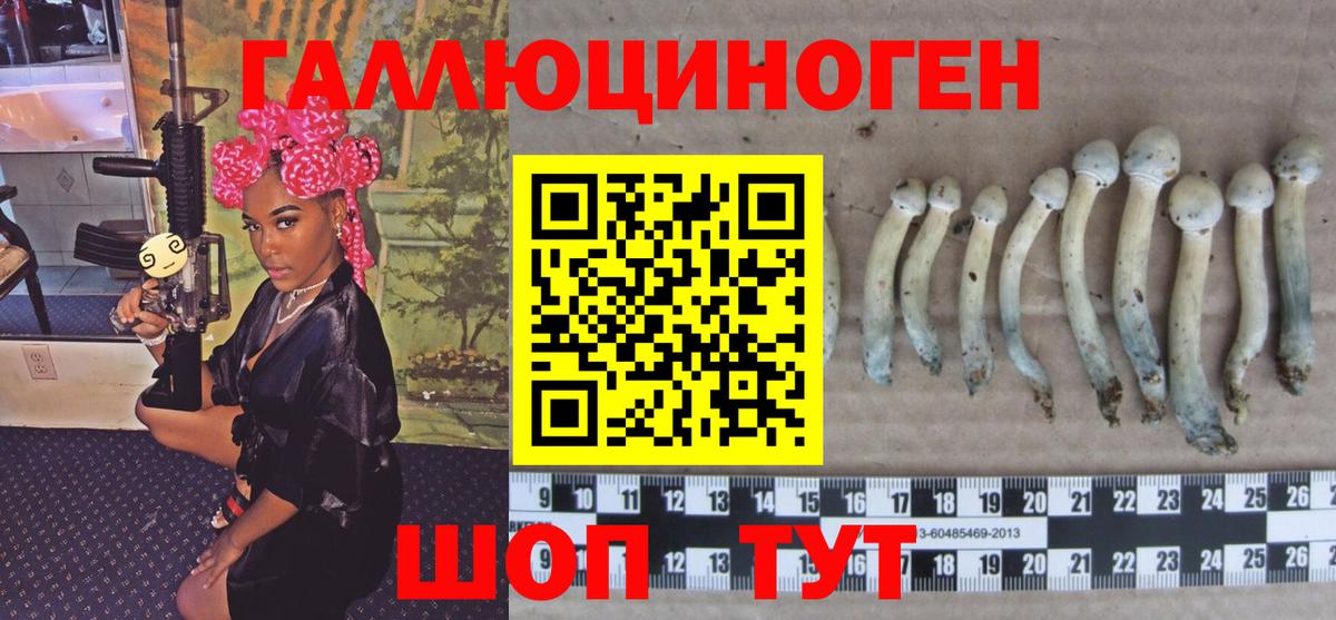 Псилоцибиновые грибы прущие грибы  Псилоцибиновые грибы ЛСД  Жуковский  Вход с VPN 