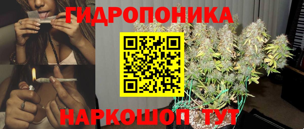 Канабис ГИДРОПОН Жуковский